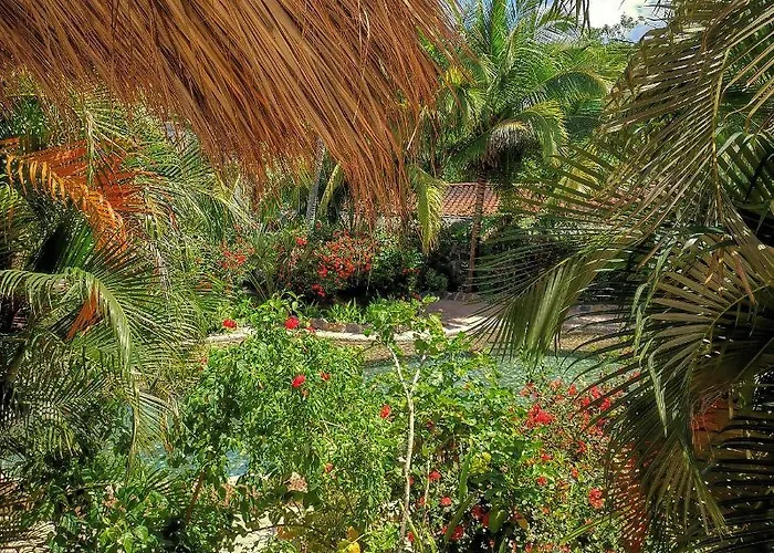 Villas Del Palmar *