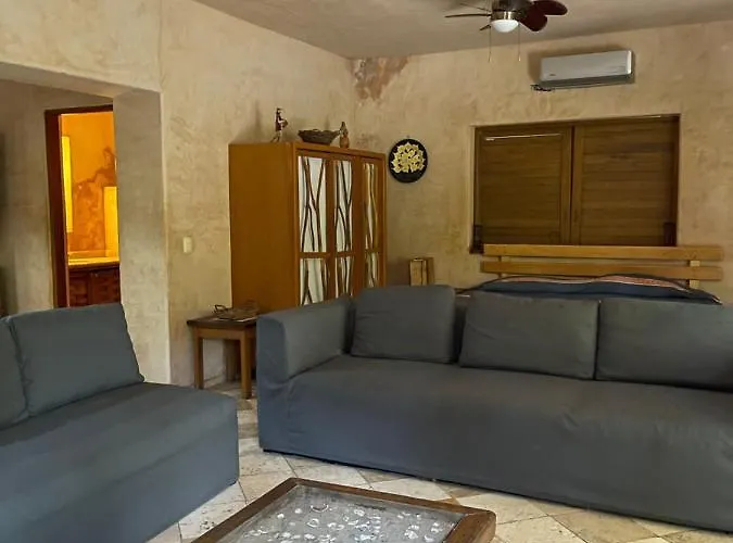 Villas Del Palmar