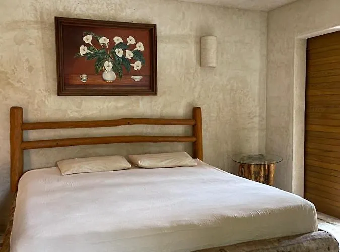 Villas Del Palmar Zihuatanejo
