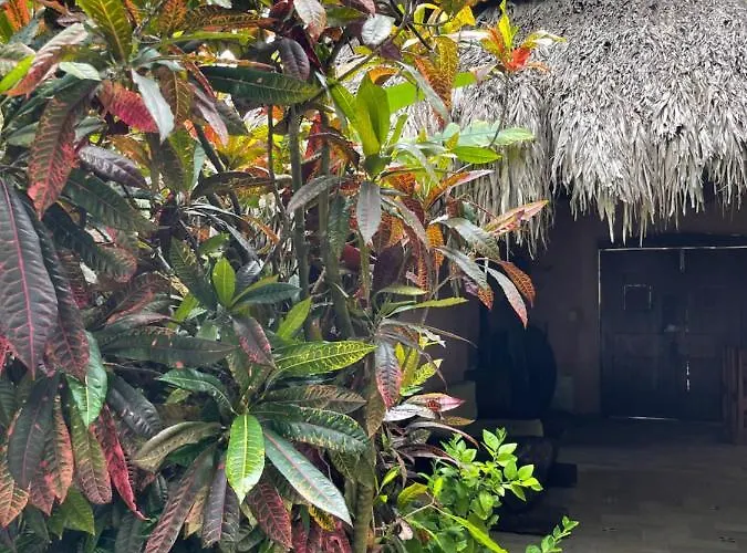 Villas Del Palmar *